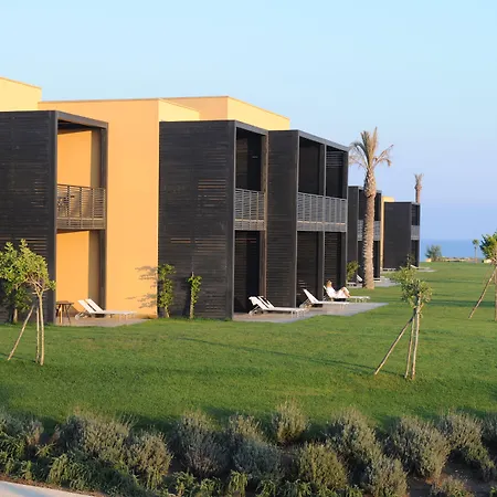 Verdura 5*